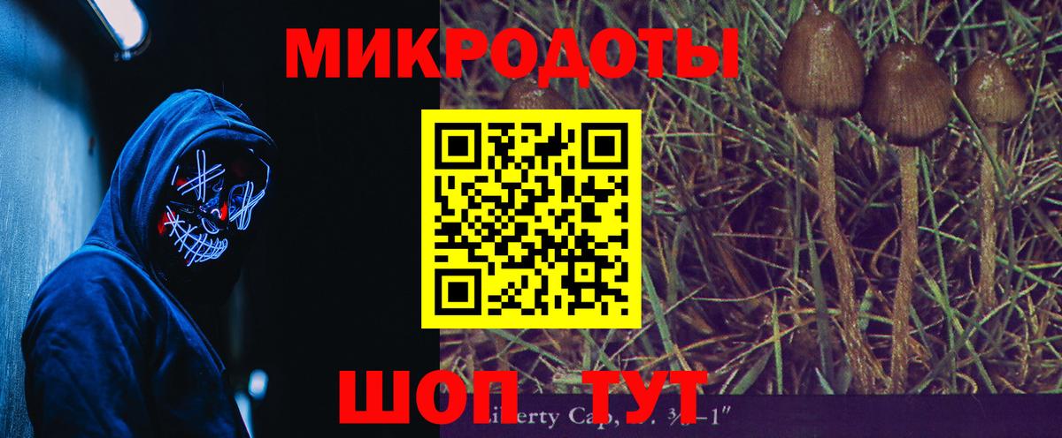 Галлюциногенные грибы GOLDEN TEACHER Дагестанские Огни